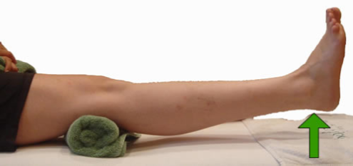 Knee extension exercise